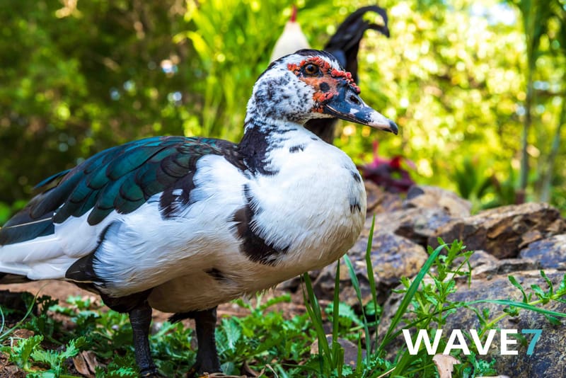 Social media and website photography