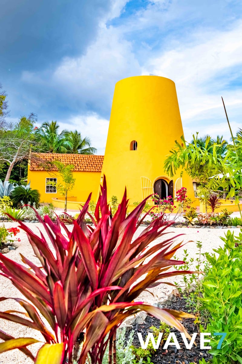 Social media and website photography