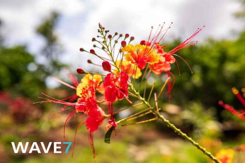 Social media and website photography