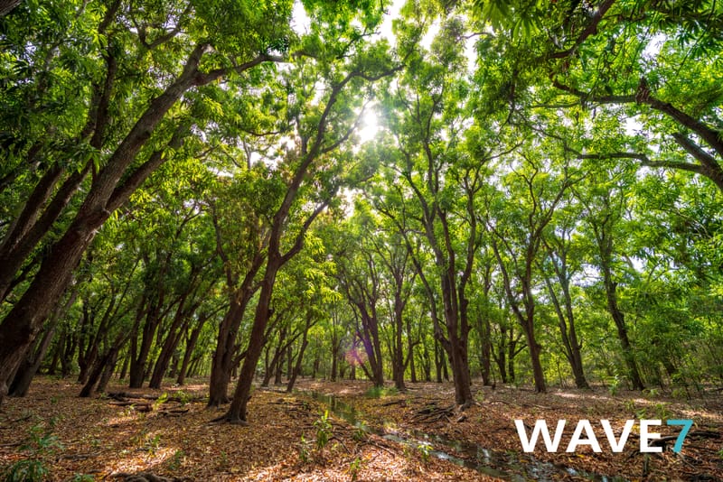 Kick-off Project "Bomen zijn belangrijk"