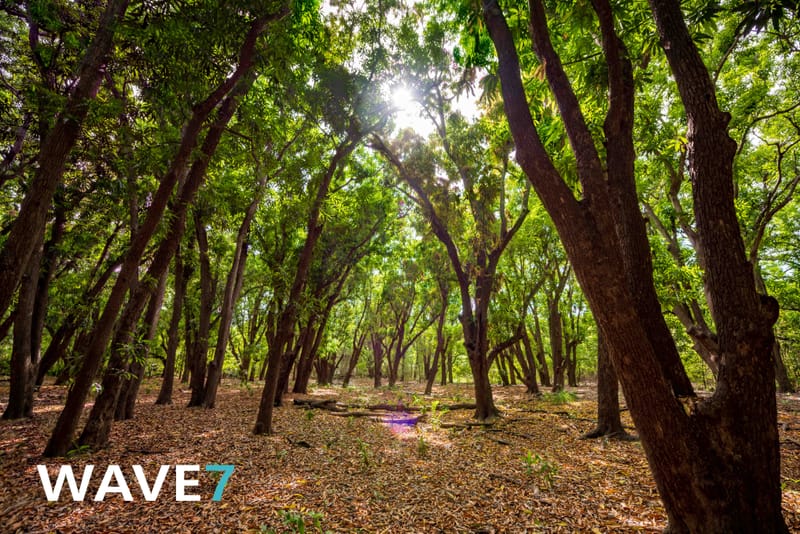 Kick-off Project "Bomen zijn belangrijk"