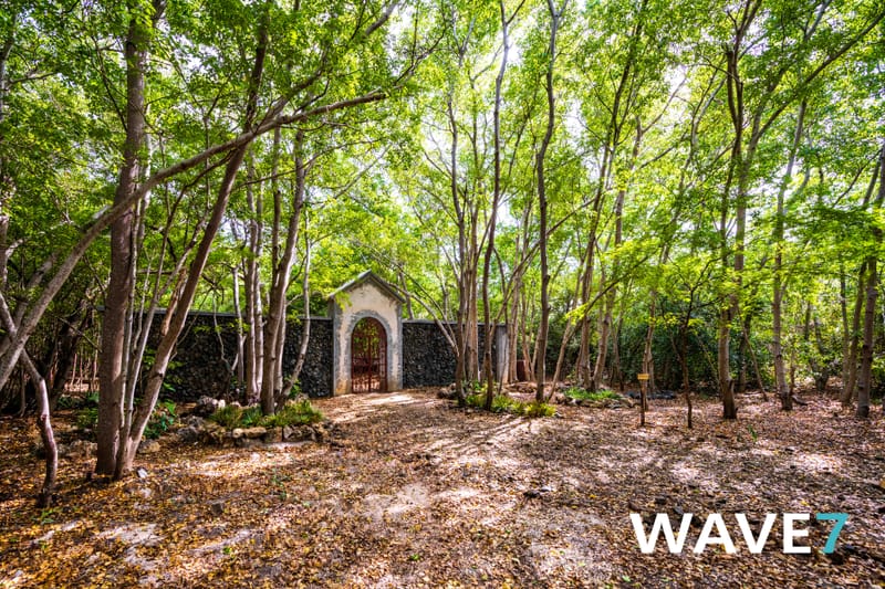 Kick-off Project "Bomen zijn belangrijk"