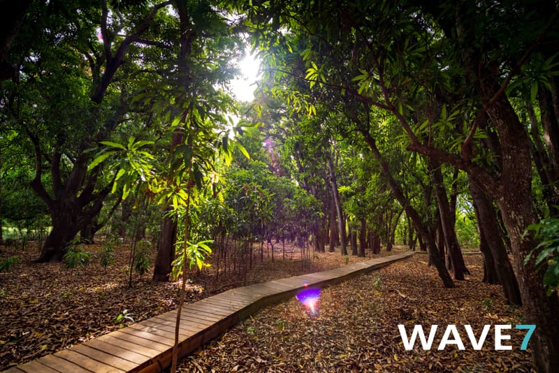Kick-off Project "Bomen zijn belangrijk"