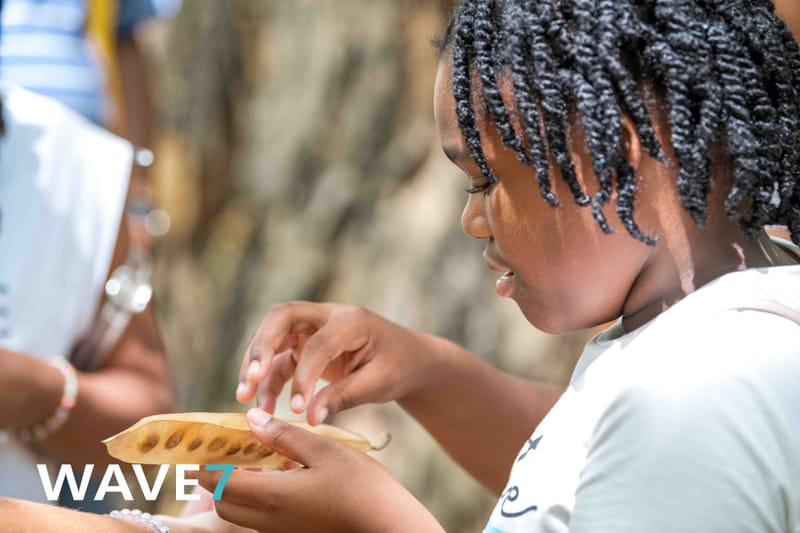 Kick-off Project "Bomen zijn belangrijk"