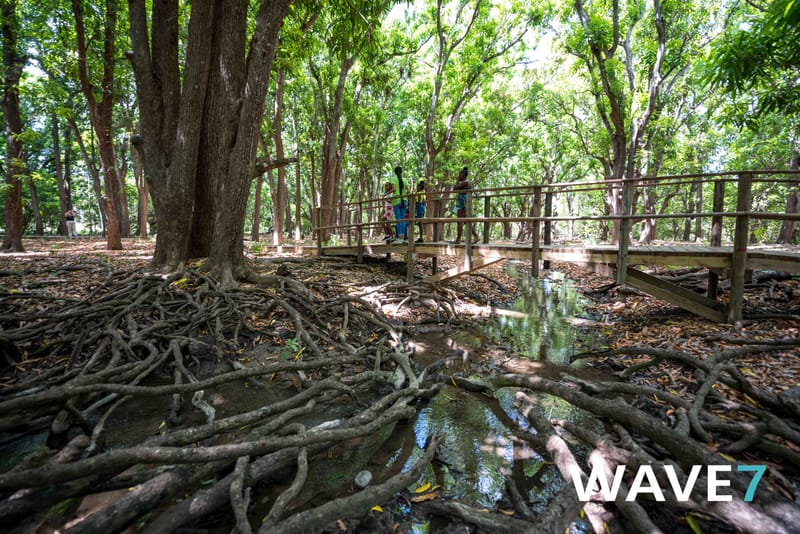 Kick-off Project "Bomen zijn belangrijk"