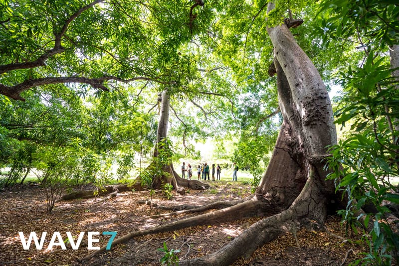 Kick-off Project "Bomen zijn belangrijk"