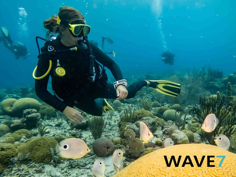 The Great Underwater Love Affair