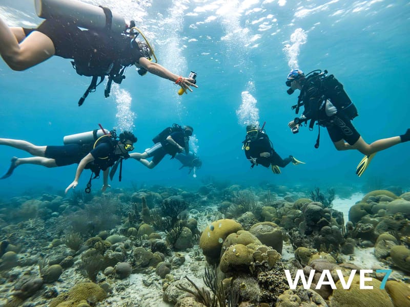 The Great Underwater Love Affair