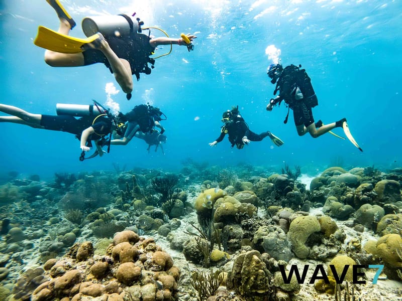 The Great Underwater Love Affair