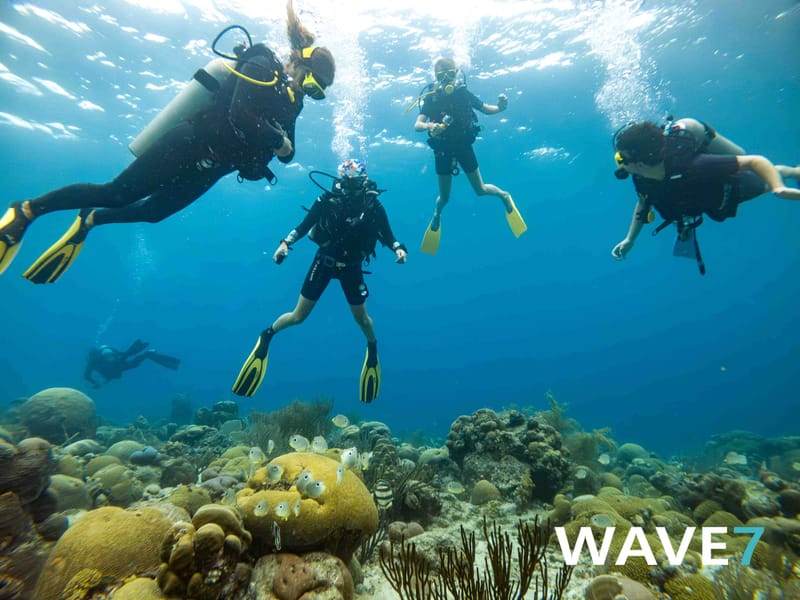 The Great Underwater Love Affair