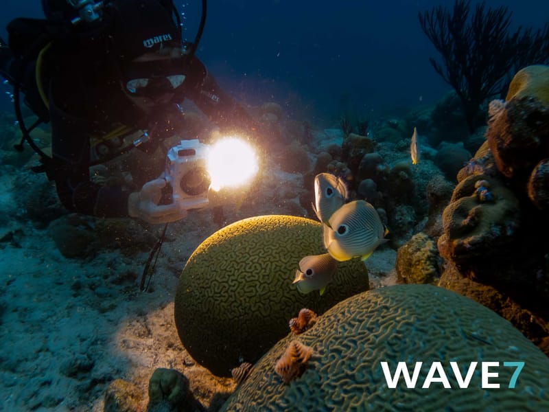 The Great Underwater Love Affair