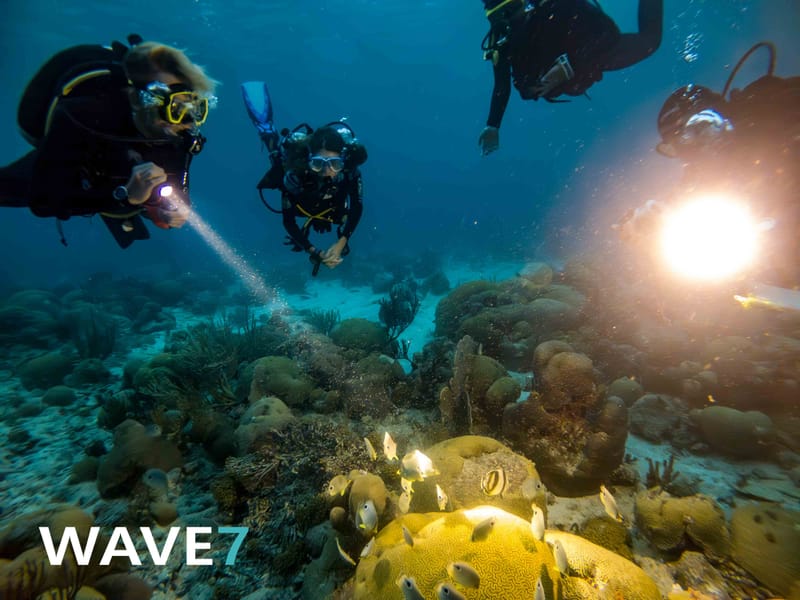 The Great Underwater Love Affair