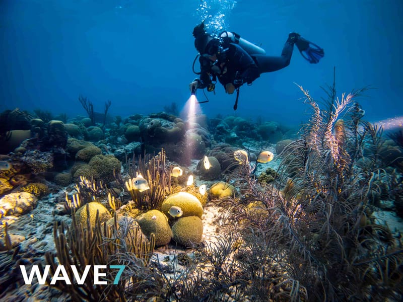 The Great Underwater Love Affair