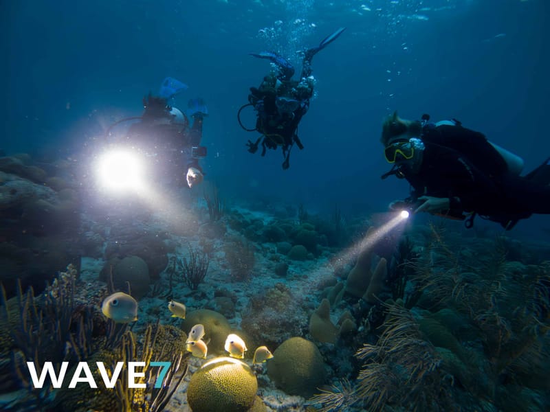 The Great Underwater Love Affair