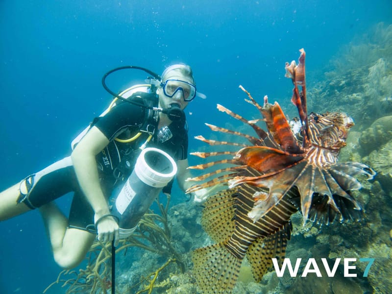 Turning invasive species into dinner