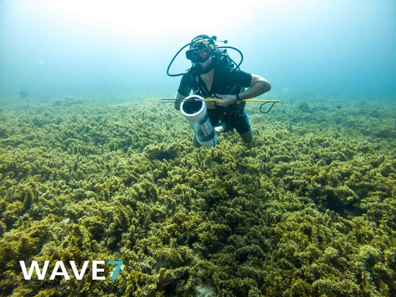 Turning invasive species into dinner
