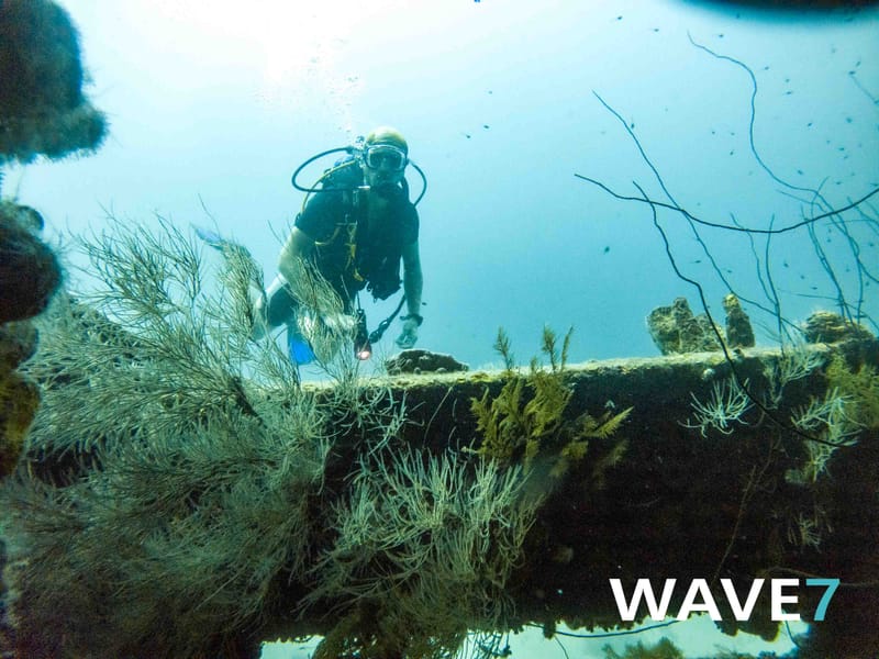 Diving Curacao's Sunken Treasures