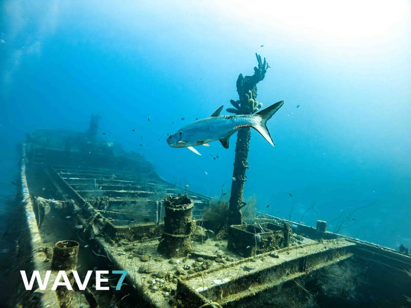 Diving Curacao's Sunken Treasures