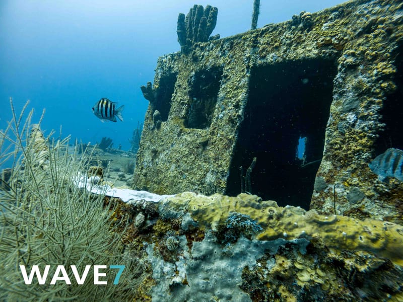 Diving Curacao's Sunken Treasures