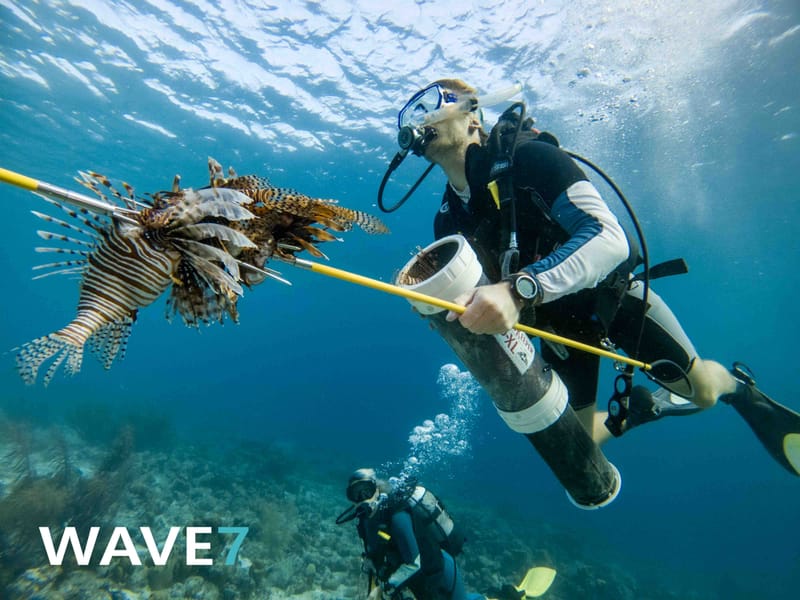 Turning invasive species into dinner