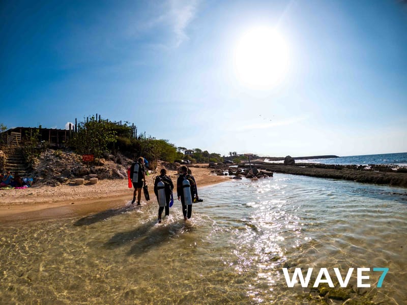 Curaçao underwater flora and fauna
