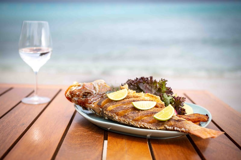 The Curacao crockery collection