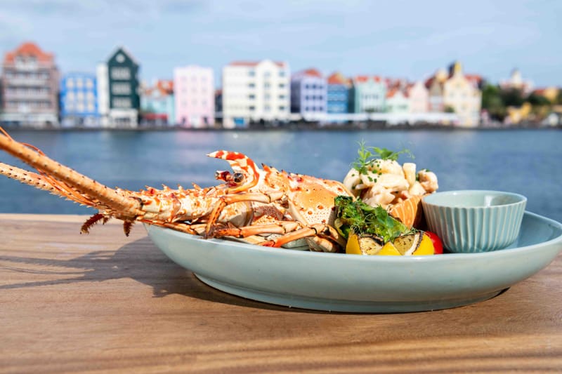 The Curacao crockery collection