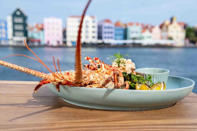 The Curacao crockery collection