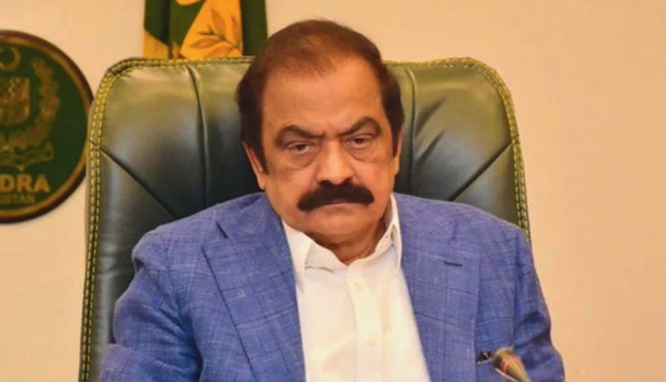 General elections to be held in February 2024: Rana Sana