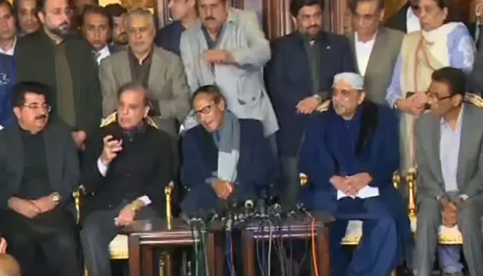 Asif Ali Zardari has decided to form a government together