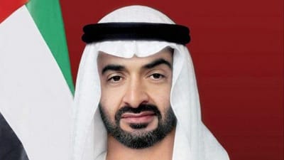 UAE President issues law on Abu Dhabi's punitive, correctional establishments