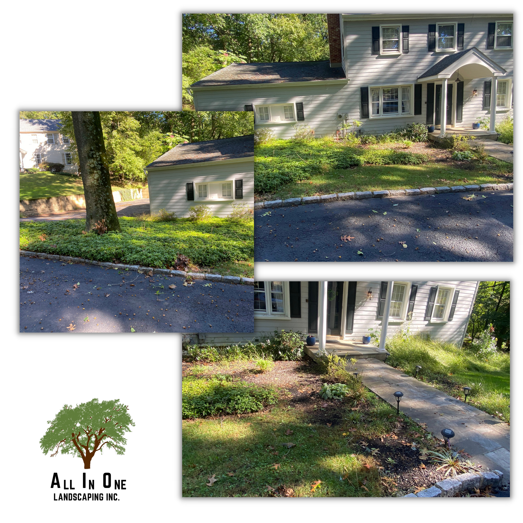 Mulch