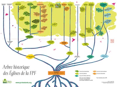 Découvrir le protestantisme aujourd'hui : Les Eglises évangéliques
