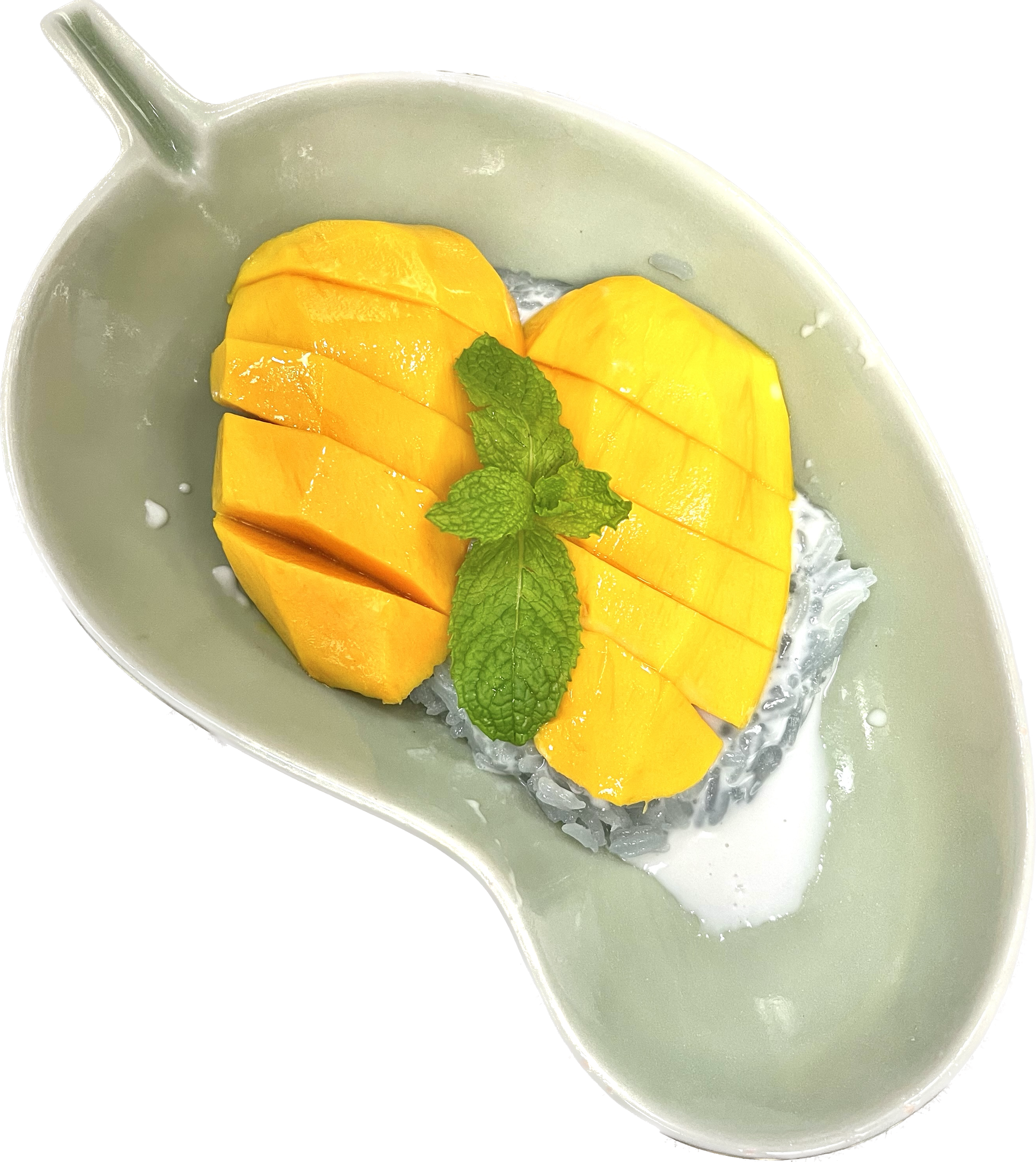 Mango and Sweet Sticky Rice