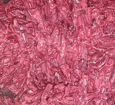 סלט סלק במיונז