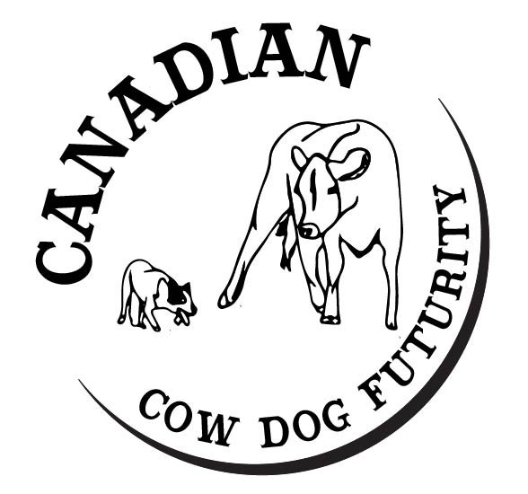 Ponoka Stampede Canadian Cowdog Maturity