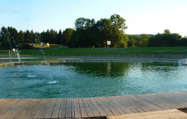 Les öcybelles à St Laurent de Neste