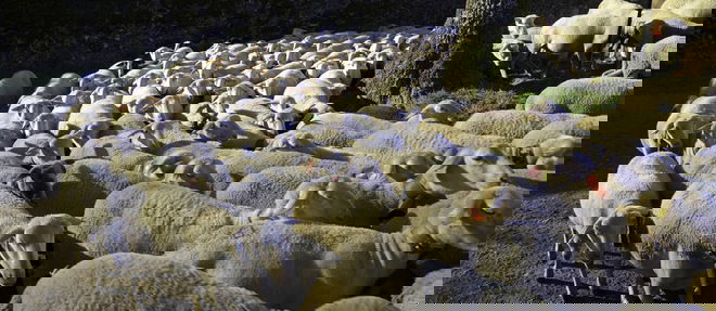 La vallée du Louron