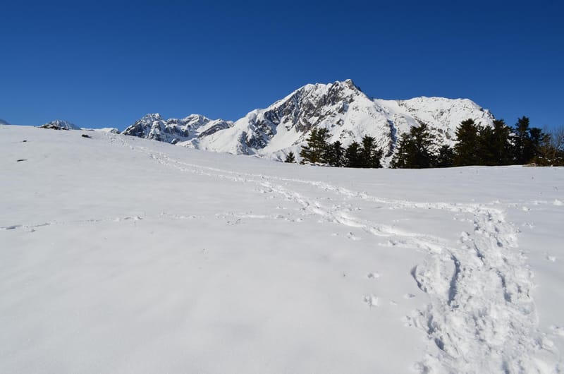Pour les randonnées en raquettes