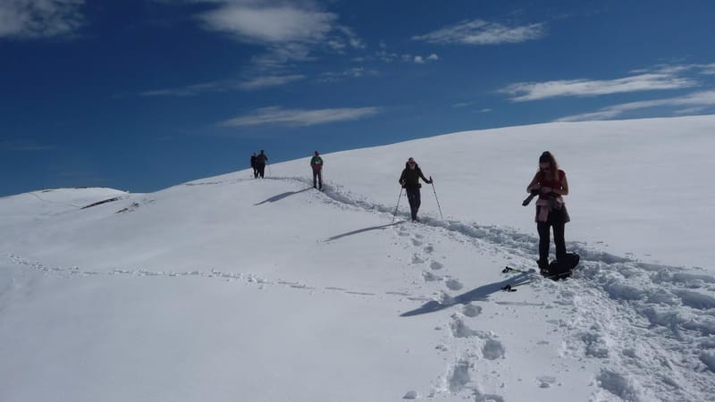 Pour les randonnées en raquettes