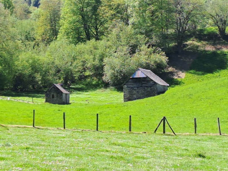 Une belle randonnée sur le sentier du film "le Pacte des Loups"