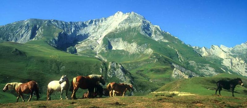 Des panoramas à couper le souffle…