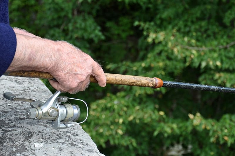 le parcours de pêche "No-kill"