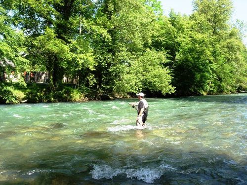 le parcours de pêche "No-kill"