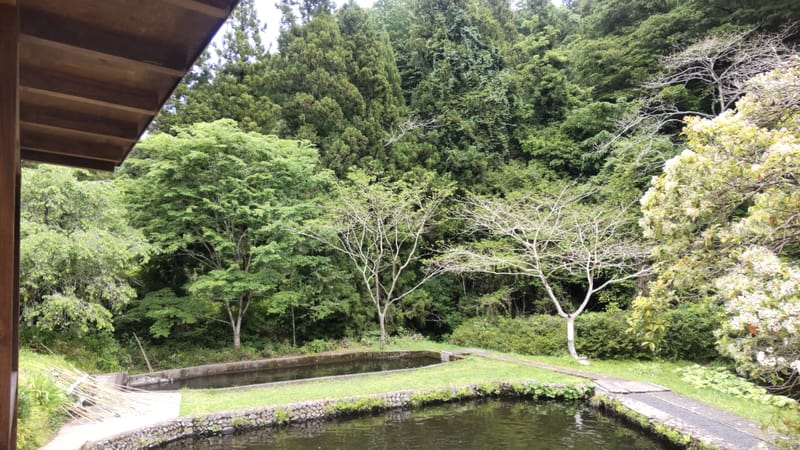 ニジマスセンターへフォトトリップ