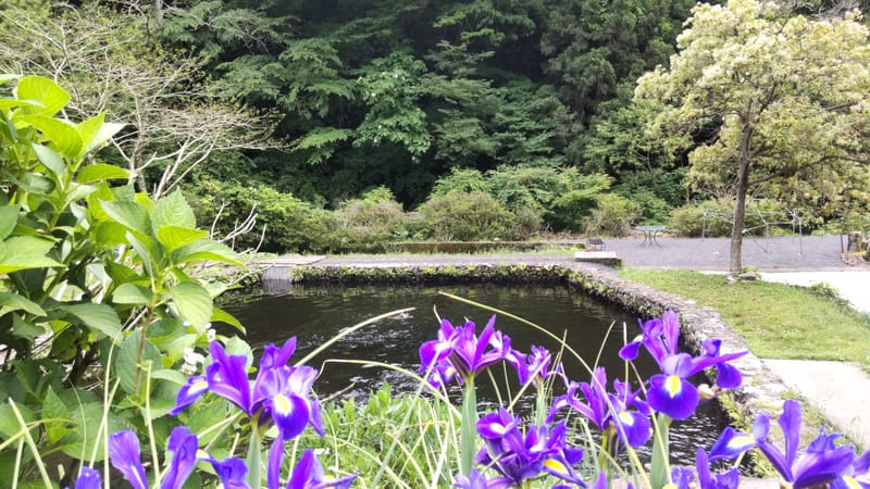 ニジマスセンターへフォトトリップ