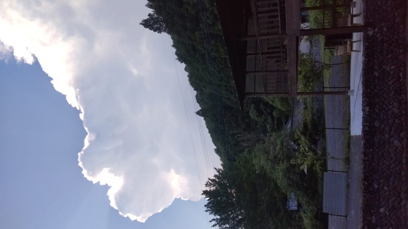 ニジマスセンターへフォトトリップ