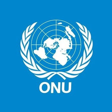 ONU - Organização das Nações Unidas