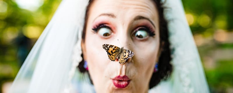 Moscas y mosquitos: Los invitados que no queremos tener