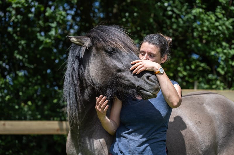 Etiopathie animale (Chien, cheval, chat...)